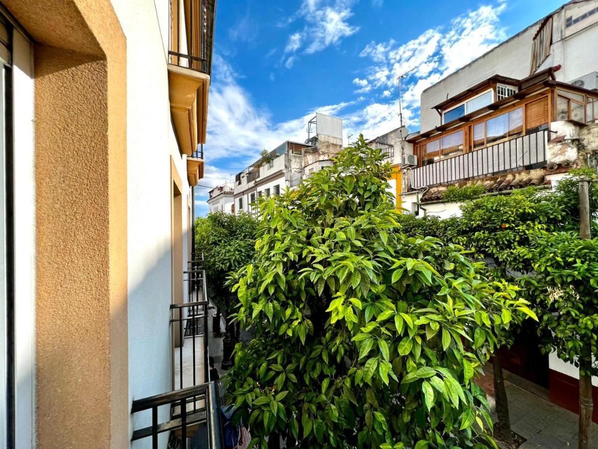 San Fernando De La Ribera Apartment Córdoba Exterior foto